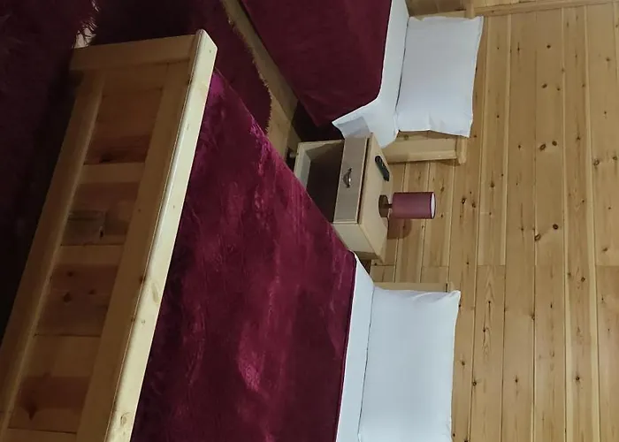 Pushimi Gjergji Joga * Voskopojë